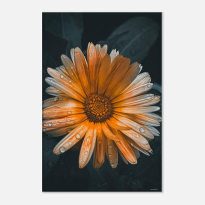 f22b2ad0-feee-4d1a-9e2c-5385714bf697