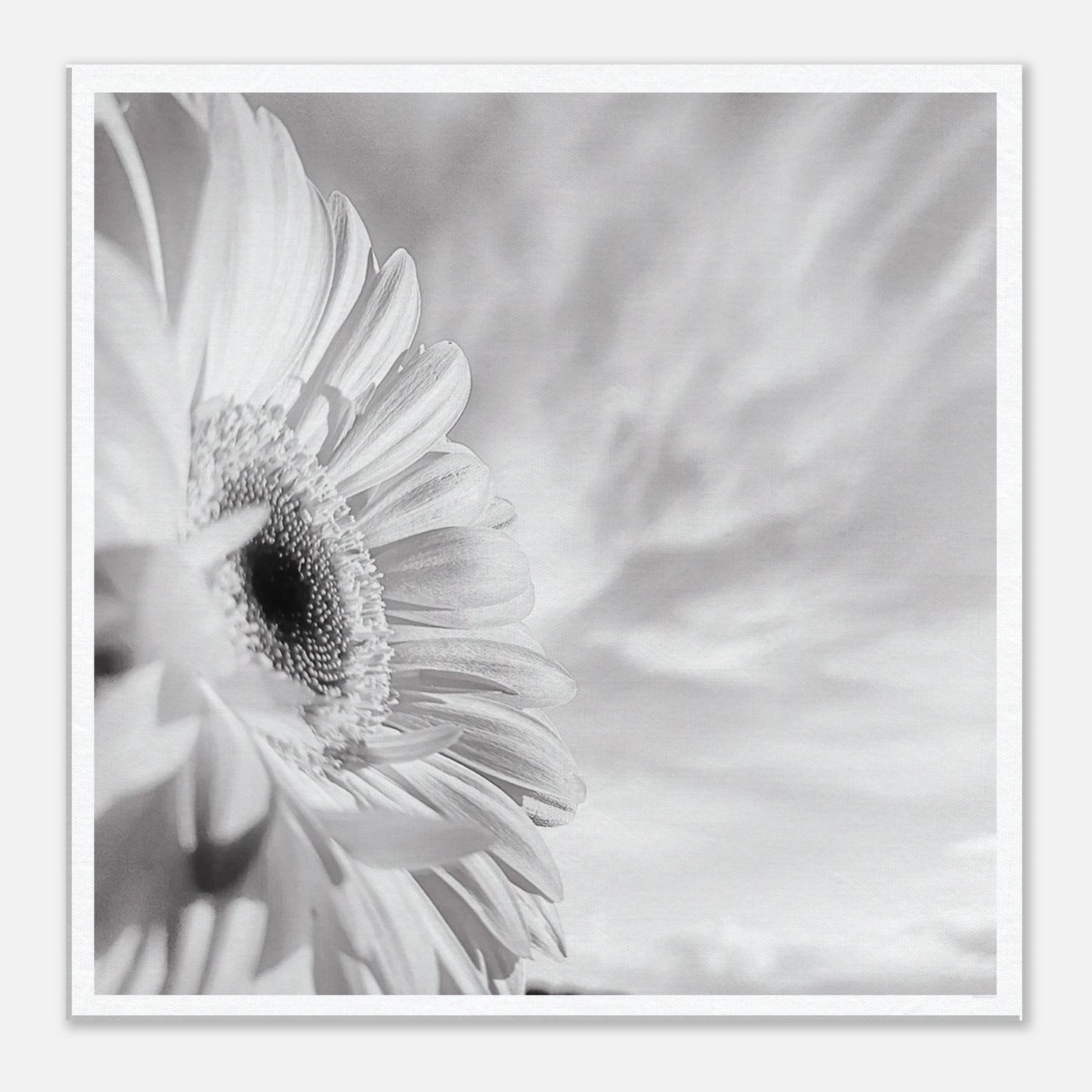 f23e6a28-a0a7-42a9-b9b9-4964bf8db3f7