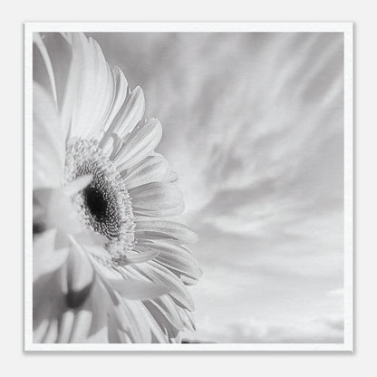 f23e6a28-a0a7-42a9-b9b9-4964bf8db3f7