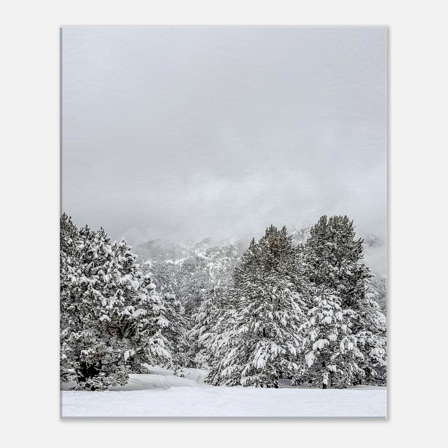 f24aa3a9-3833-4925-ad05-9dc5d6645459