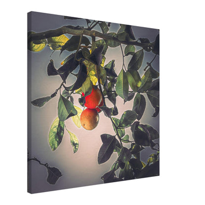 f27907ae-6f44-439e-ac66-97c718078e9b