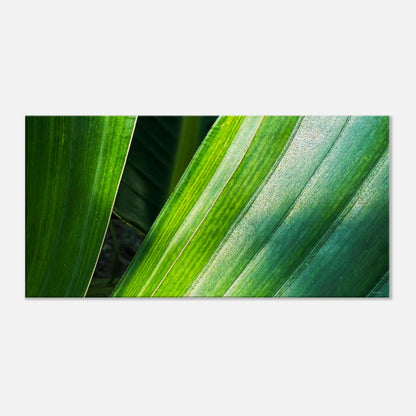 f2802e55-83be-4374-ac4c-f009baa5a6c7