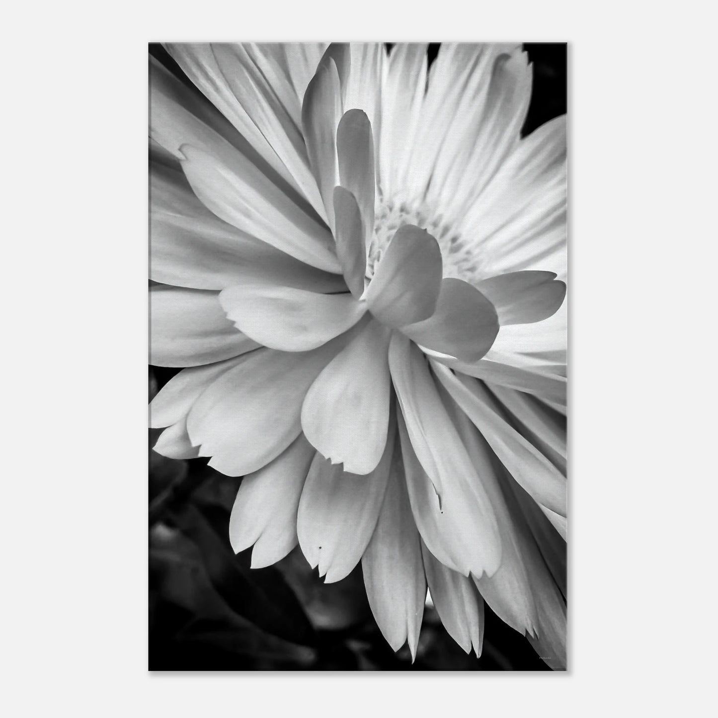 f287dcdb-df14-46a9-bb4c-25d02171b708