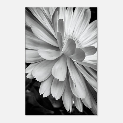 f287dcdb-df14-46a9-bb4c-25d02171b708