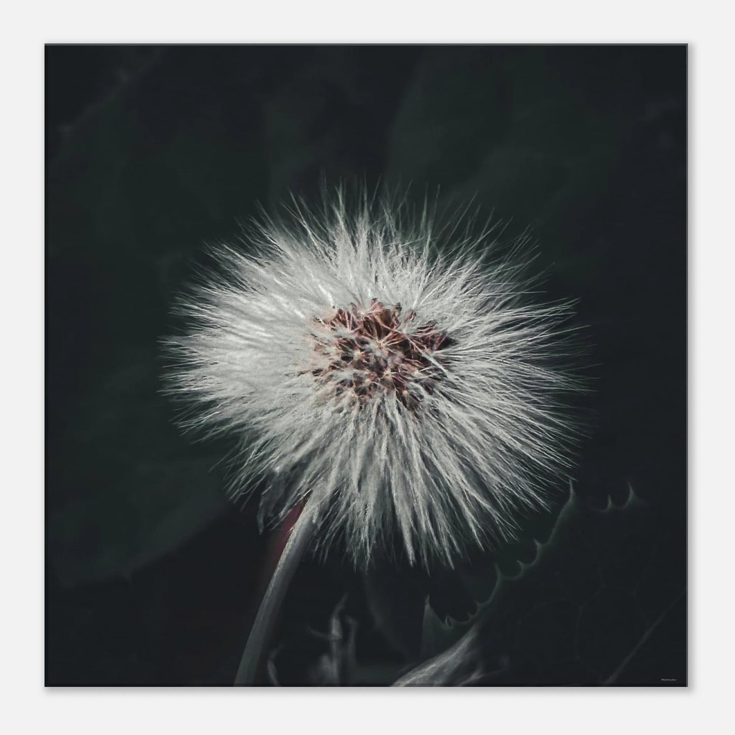 f29aebd1-82e4-4eb2-aba5-d3ff53ae9fd0