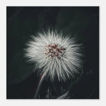 f29aebd1-82e4-4eb2-aba5-d3ff53ae9fd0