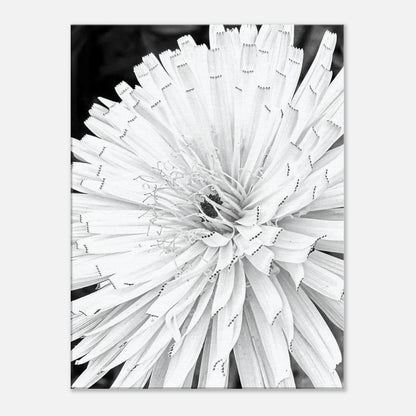 f2d1e7f2-1f56-44fb-94ca-697f2062ca3a