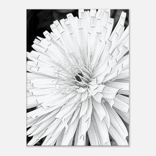 f2d1e7f2-1f56-44fb-94ca-697f2062ca3a