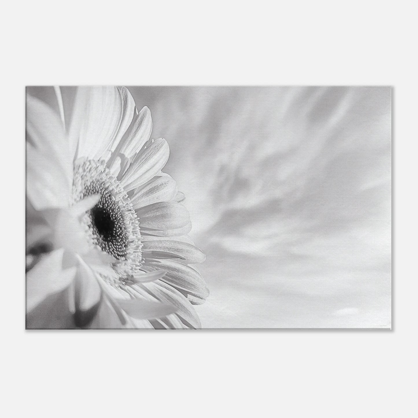 f2f9505f-5f01-4150-8c70-d306dece159f