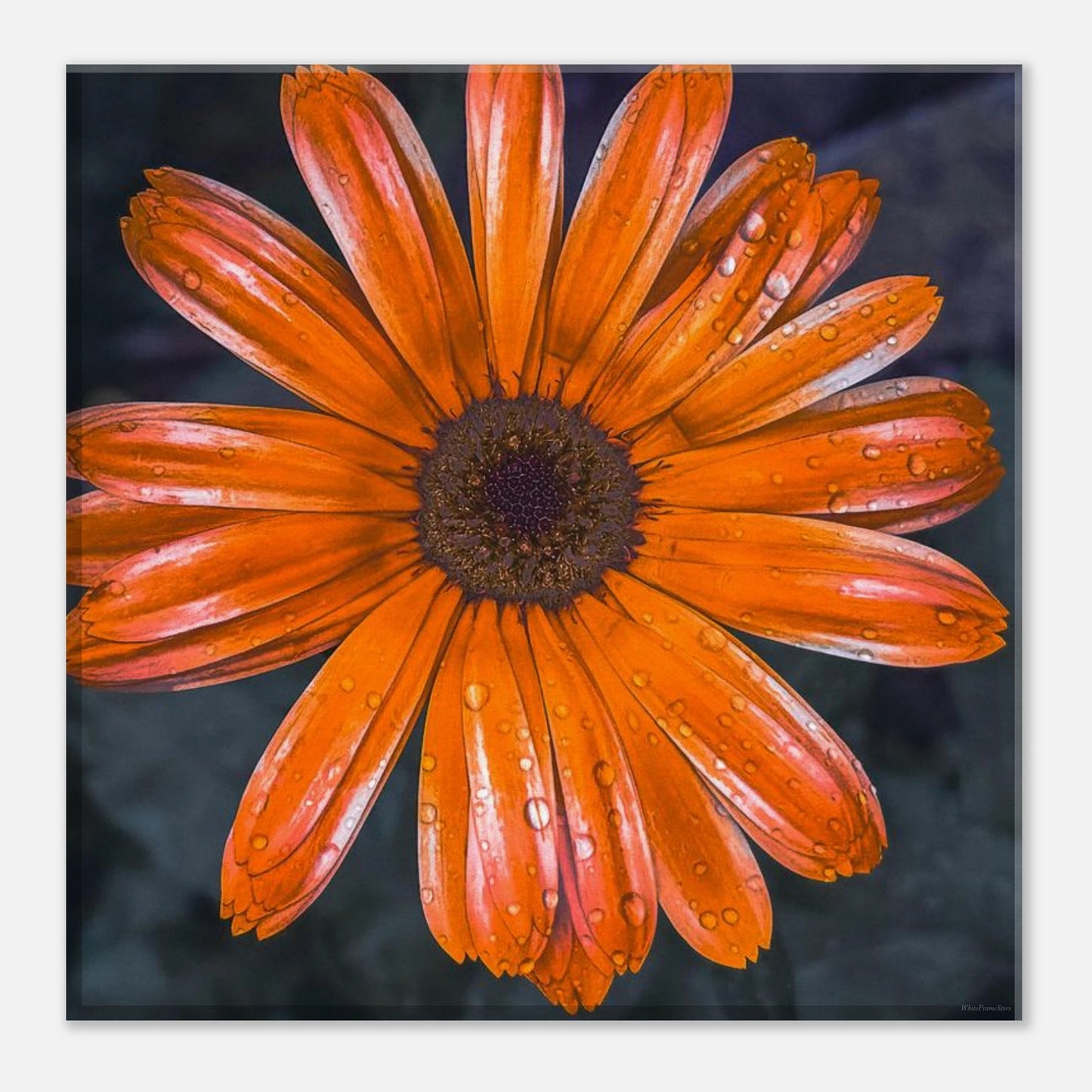 f333480a-cf00-4b46-a0ca-7c59d81c0c77