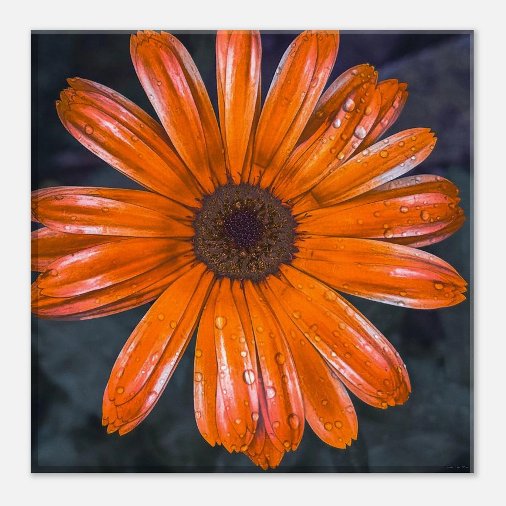 f333480a-cf00-4b46-a0ca-7c59d81c0c77