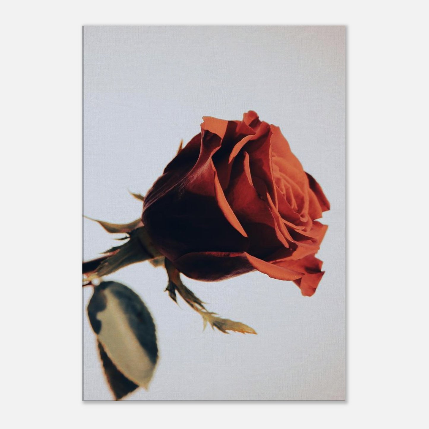 f35696ec-c6a2-42d4-8a4f-be8e93d9ec3d