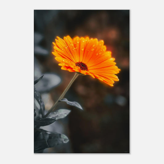 f35a2349-38cf-4dab-8a21-099384b4c5fa