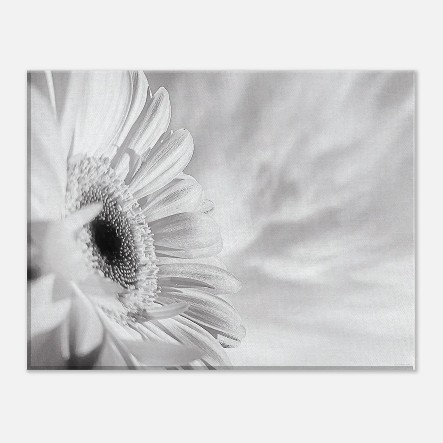 f38a1729-f3b8-43f7-98f6-cd4fb31fae1c