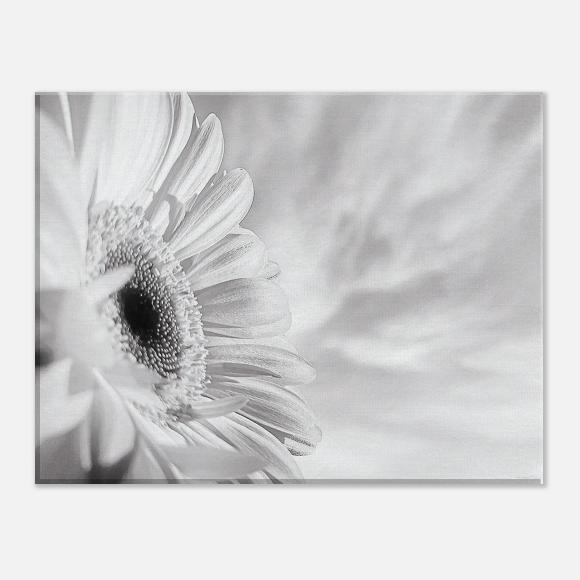 f38a1729-f3b8-43f7-98f6-cd4fb31fae1c