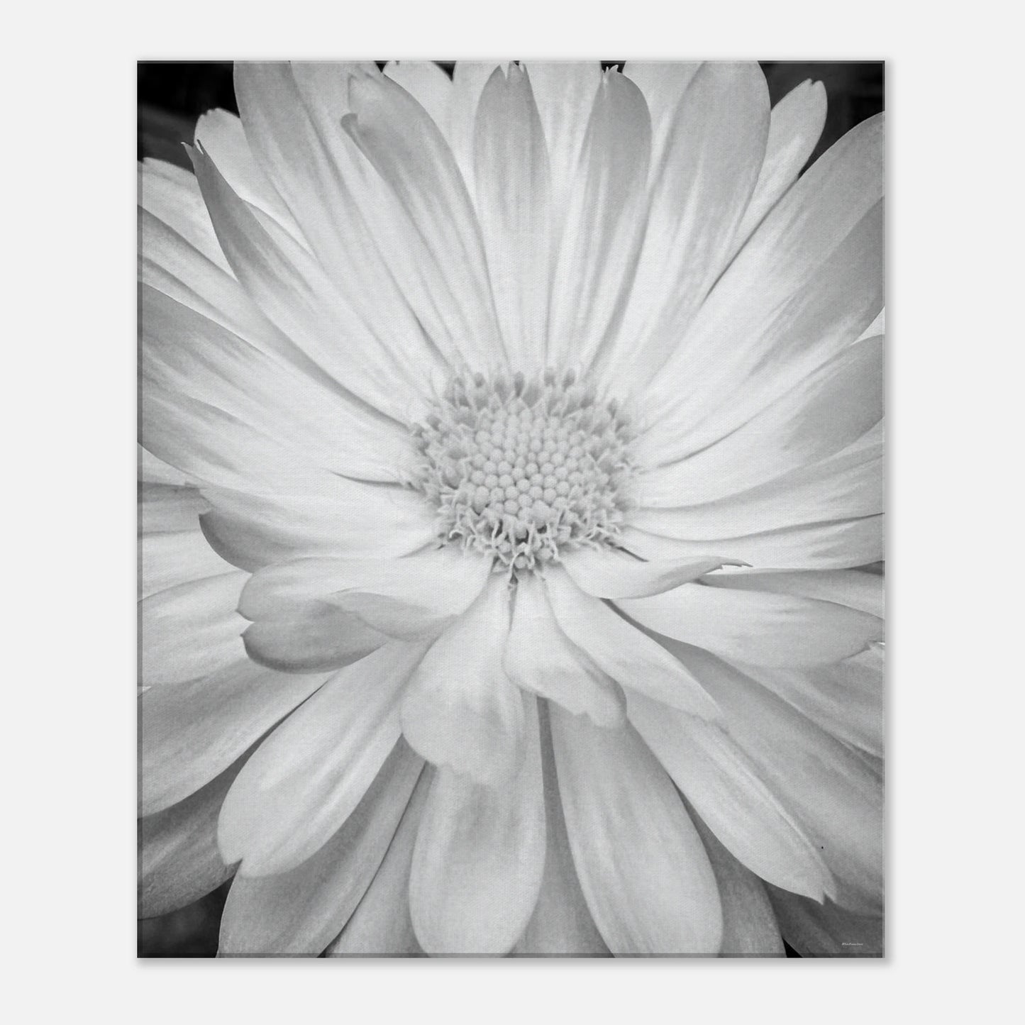 f391b49f-ba24-4170-bca9-4f33cbda3def