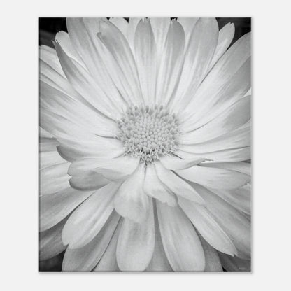 f391b49f-ba24-4170-bca9-4f33cbda3def