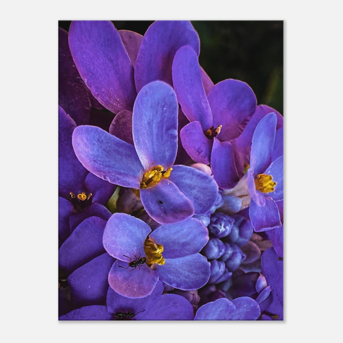 f397d6f4-6cc6-4735-952e-8d0fae726e19