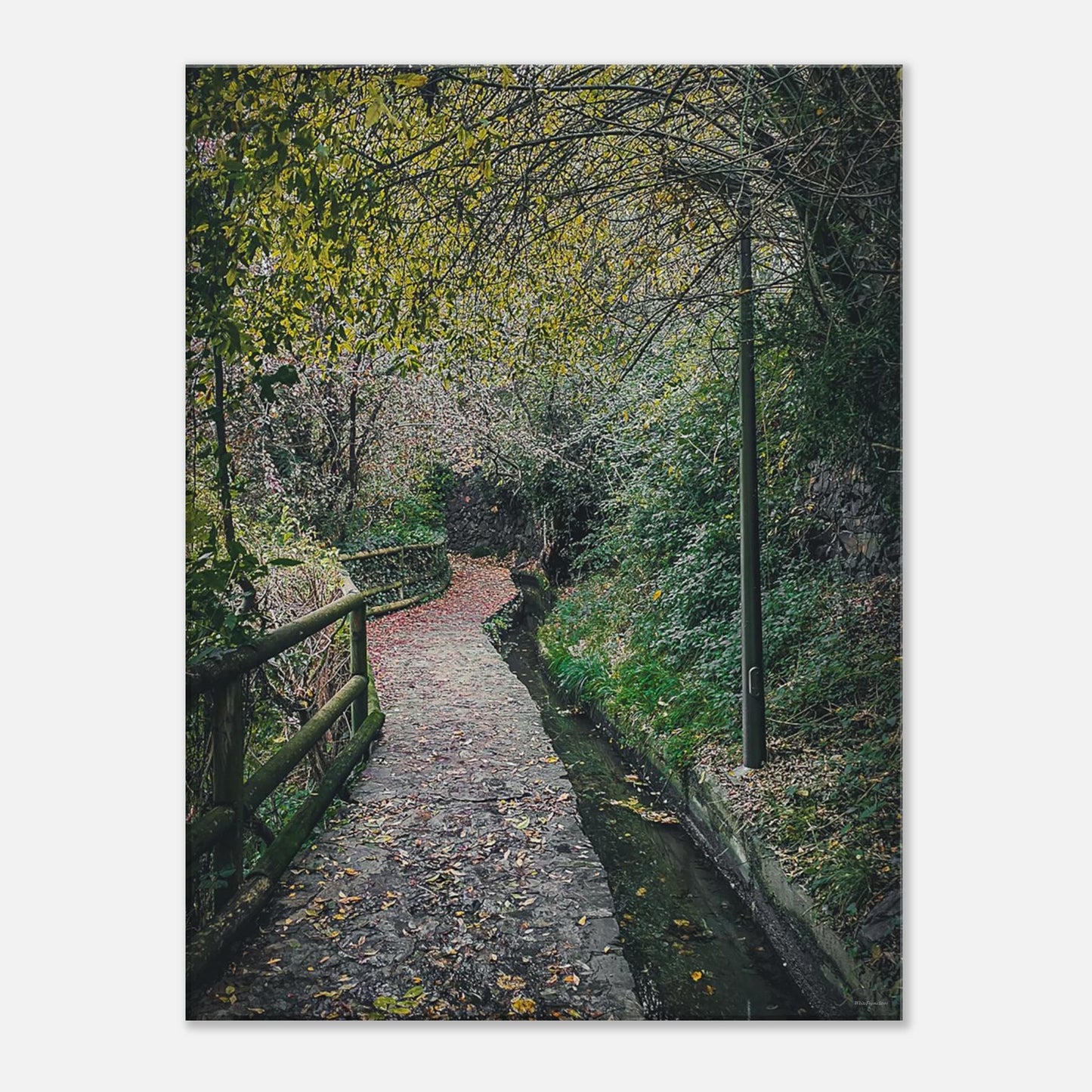 f3ae5dff-48ab-4b8b-b714-3cc26a238a35