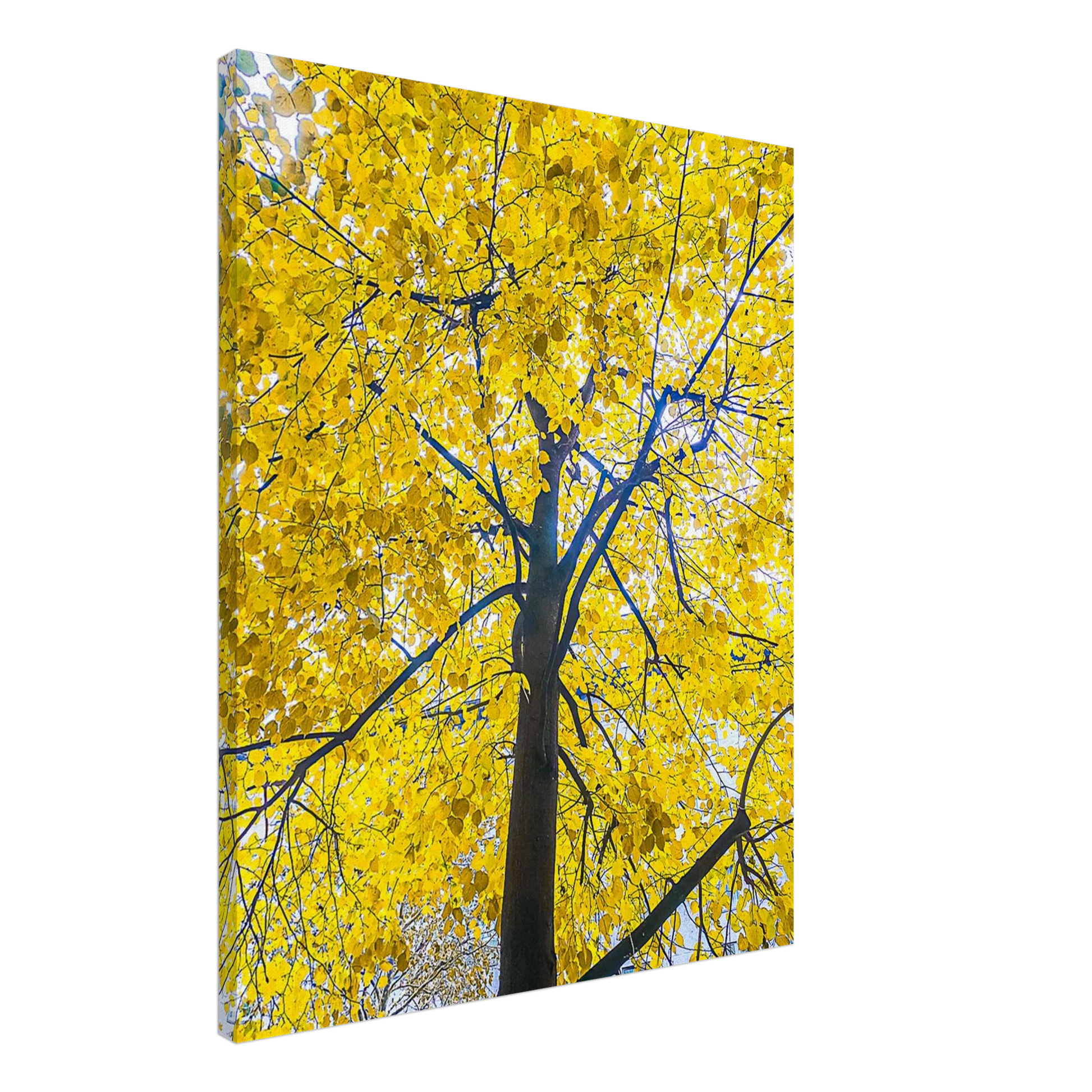 f3b7dbf3-0054-4d51-9ce6-6e939eab8b7f