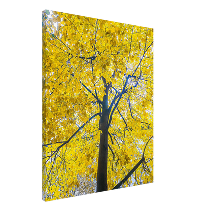 f3b7dbf3-0054-4d51-9ce6-6e939eab8b7f