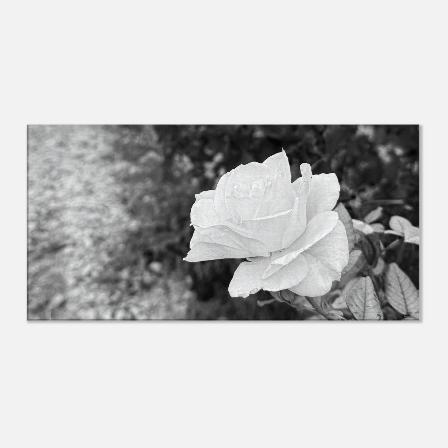 f3c37c66-aa99-4047-96e8-ec034ae1b32a