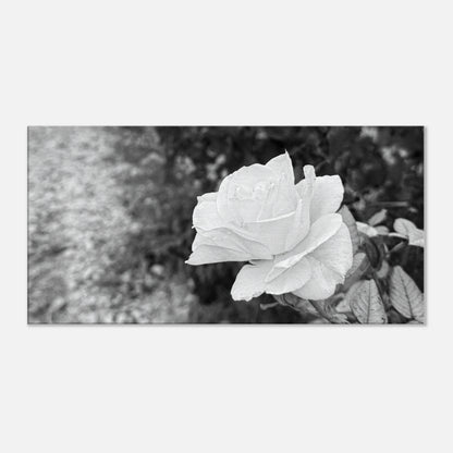 f3c37c66-aa99-4047-96e8-ec034ae1b32a
