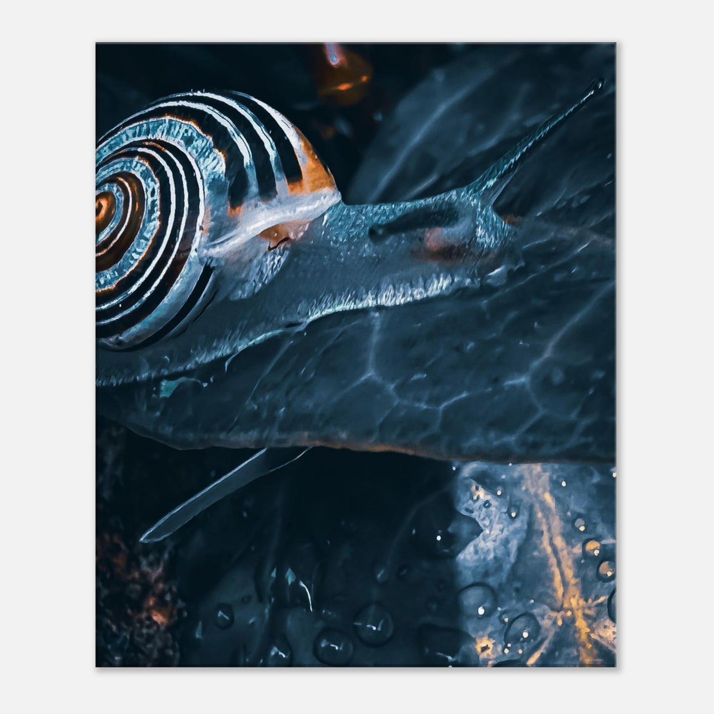 f3c50e51-85a0-44e5-91b8-fe69e745928f