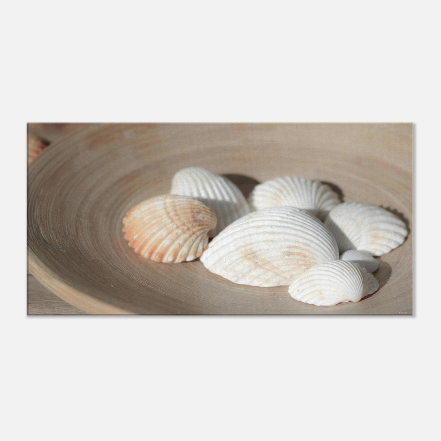 f3ca65e1-859e-4cf9-a086-db39bce2535b