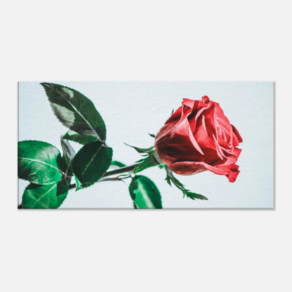 f3f392bf-ae1d-44c2-956a-9eb87450f61b