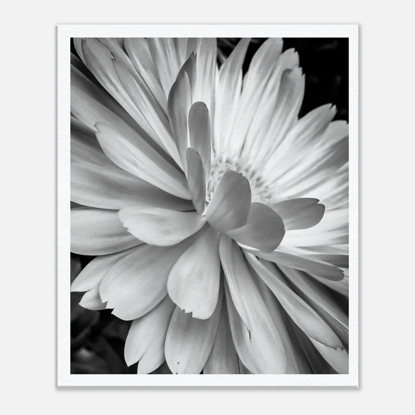 f4248d85-48fe-4ed5-a04c-4f138f6b2ab8