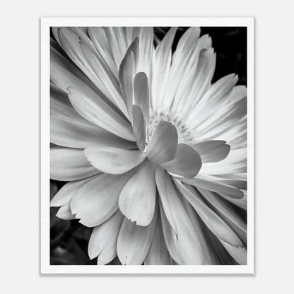 f4248d85-48fe-4ed5-a04c-4f138f6b2ab8