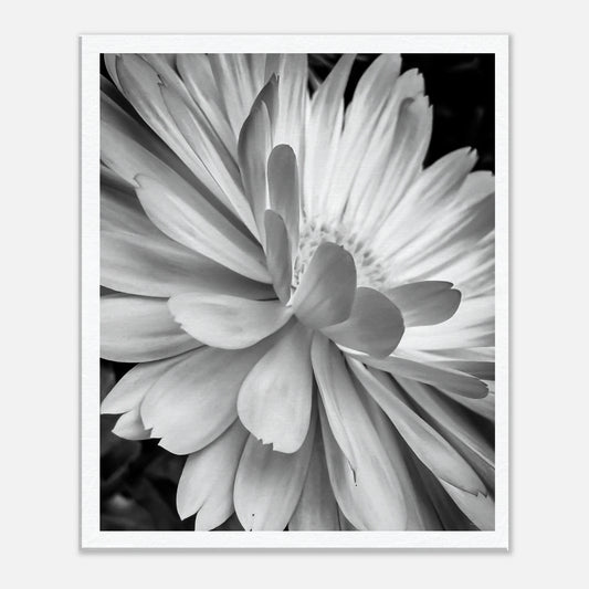 f4248d85-48fe-4ed5-a04c-4f138f6b2ab8