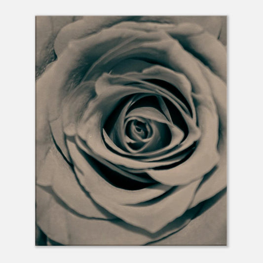 f4365ed6-9241-408f-8c2e-25bd35e1f1f6