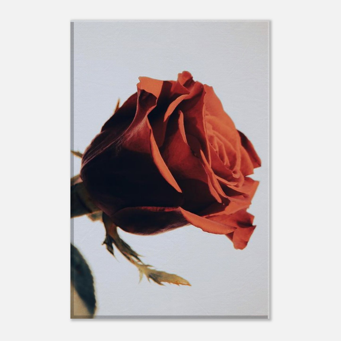 f4b248b5-b8f7-4a3b-836e-6b8fb0af49a4