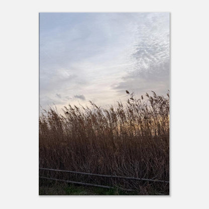 f4c60eb4-5ab3-426b-b39c-b828ead48577