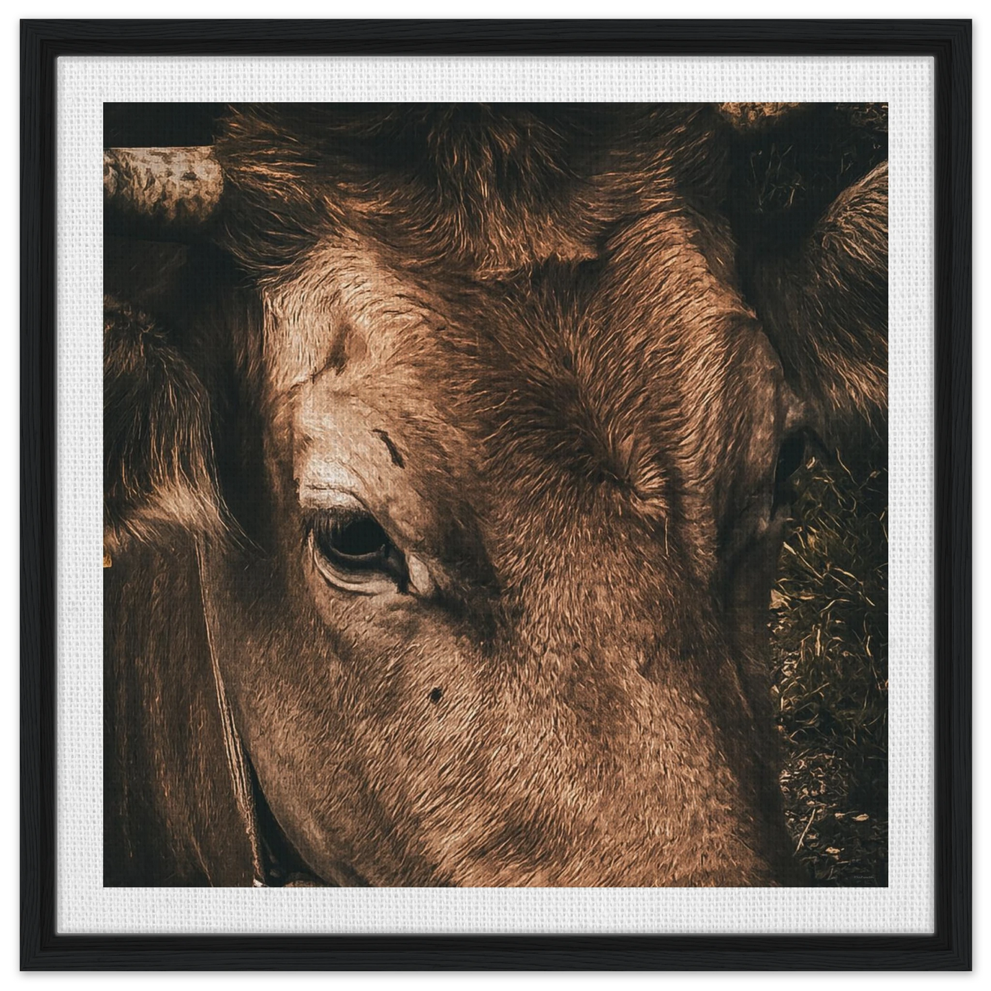 f4d53879-809d-4f34-9b55-91583b510336