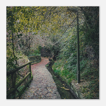 f4d78097-9b7c-4638-a6f8-ebefd910db77