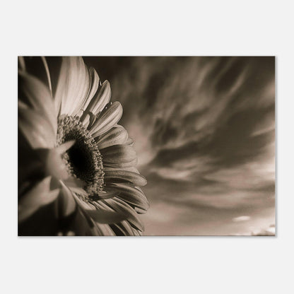 f4ef8c5a-ec9a-40e8-9ff9-2eb784fcbb97