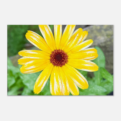 f503dbbb-126c-48a3-b6bb-c43bbcd6a363