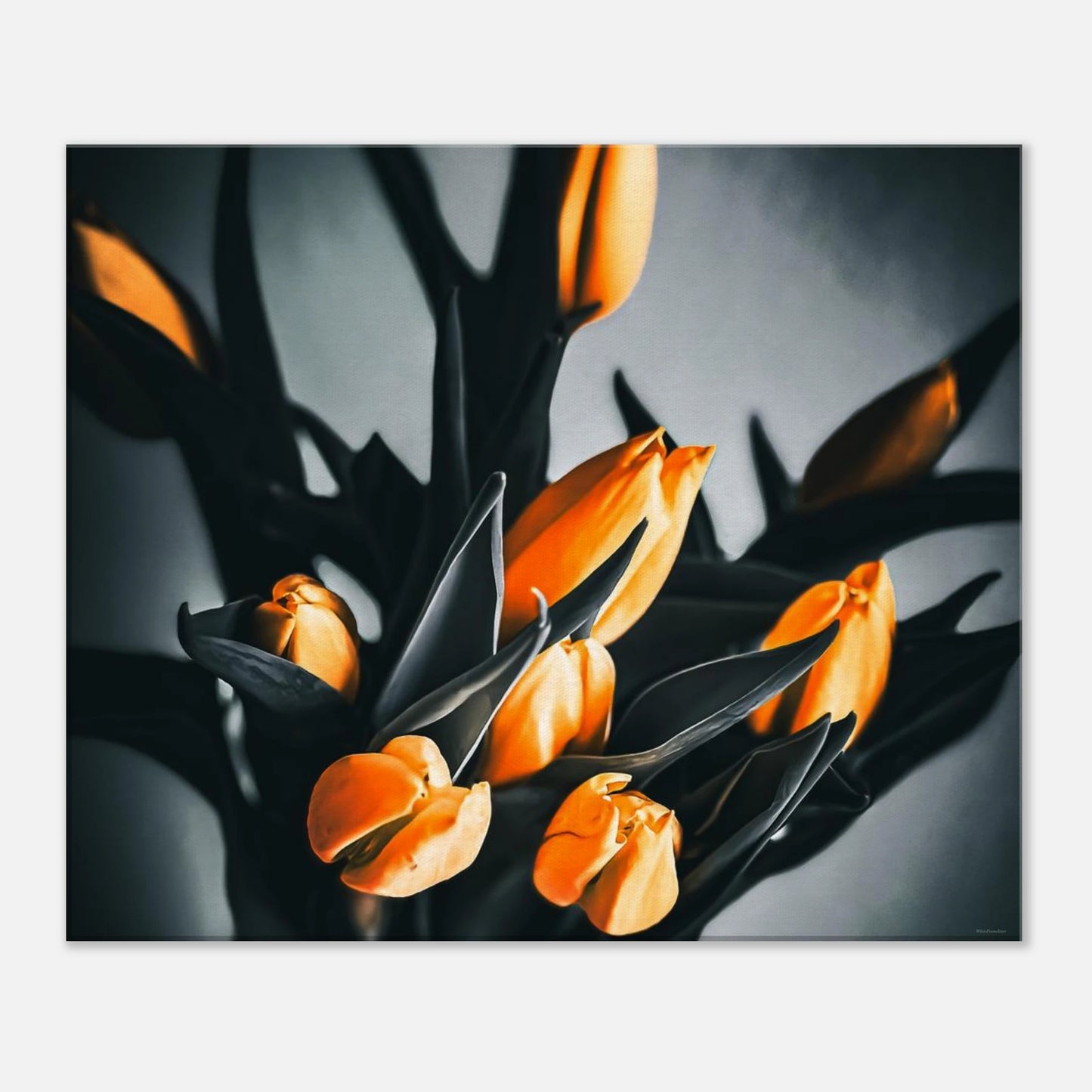 f52c21a5-15e8-4939-bec6-2e58dfbdf967