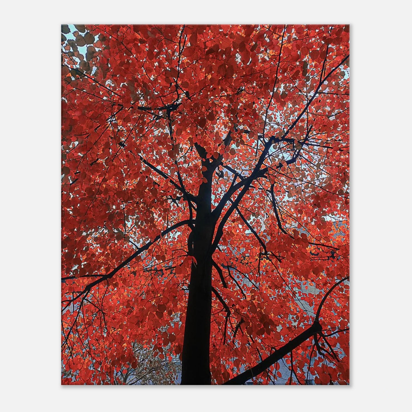 f52c306d-8e1c-4ccc-829a-38fb663df214