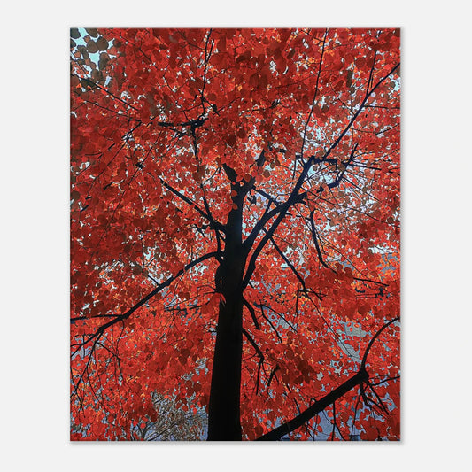 f52c306d-8e1c-4ccc-829a-38fb663df214