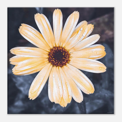 f540ada2-56bb-4a82-bf4d-9d1092bd5e86