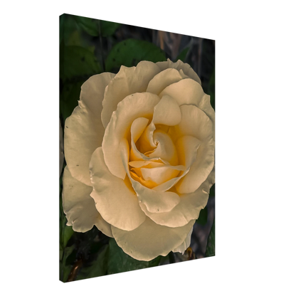 f5530d31-6b37-494a-b695-3b9adb402d99