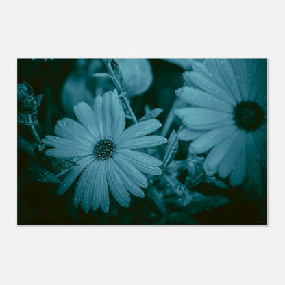 f56423ba-54cf-43dd-9ec5-ddb130455826