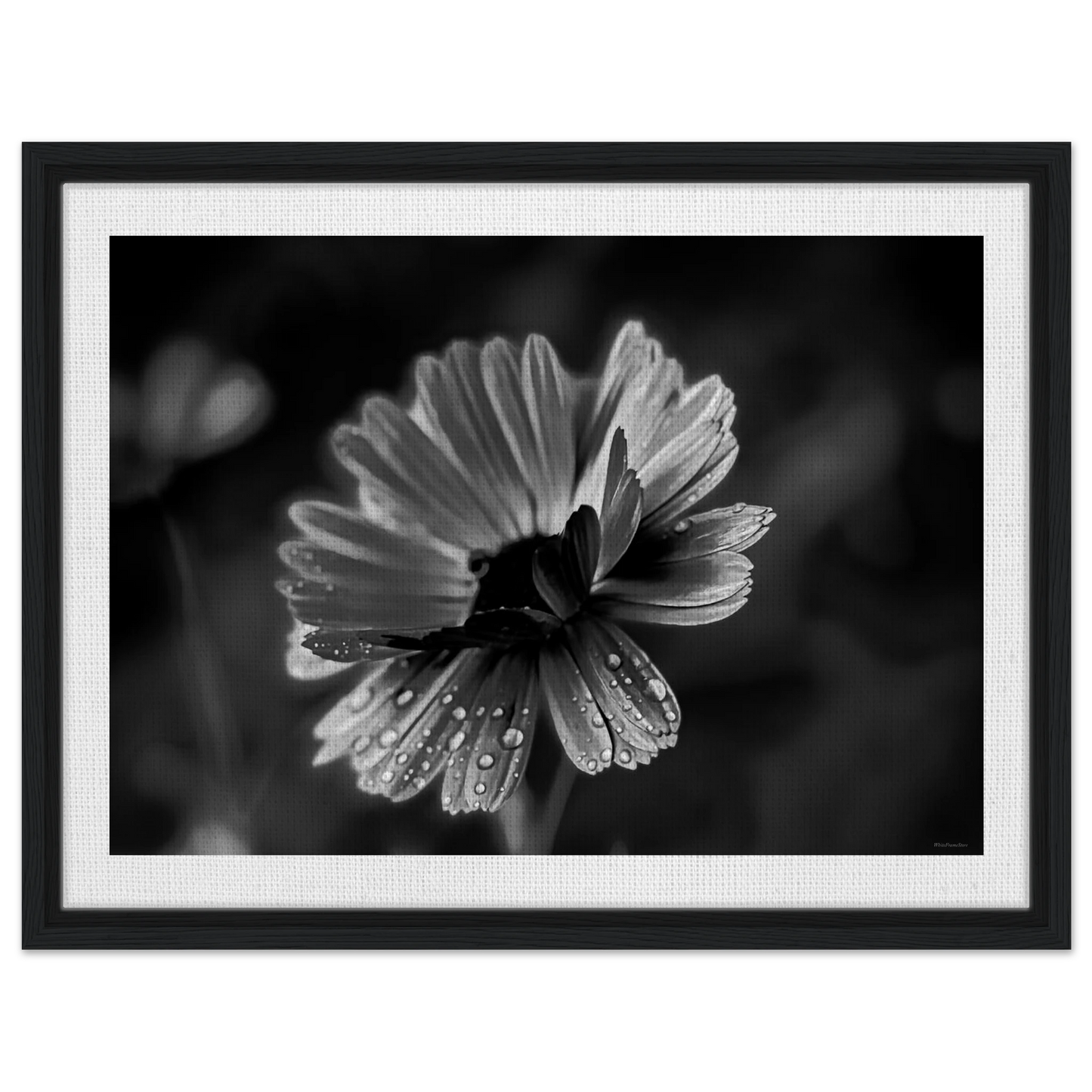 f5763727-3ff3-4967-a2d7-4f9349901ddb