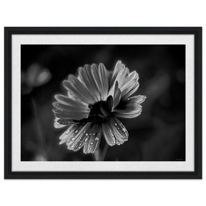 f5763727-3ff3-4967-a2d7-4f9349901ddb