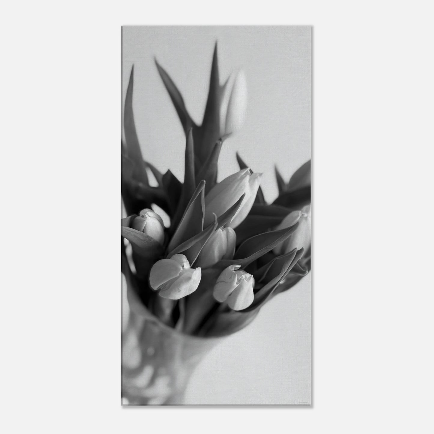 f592d017-b5c4-4d2f-beb8-a75aa09aacec