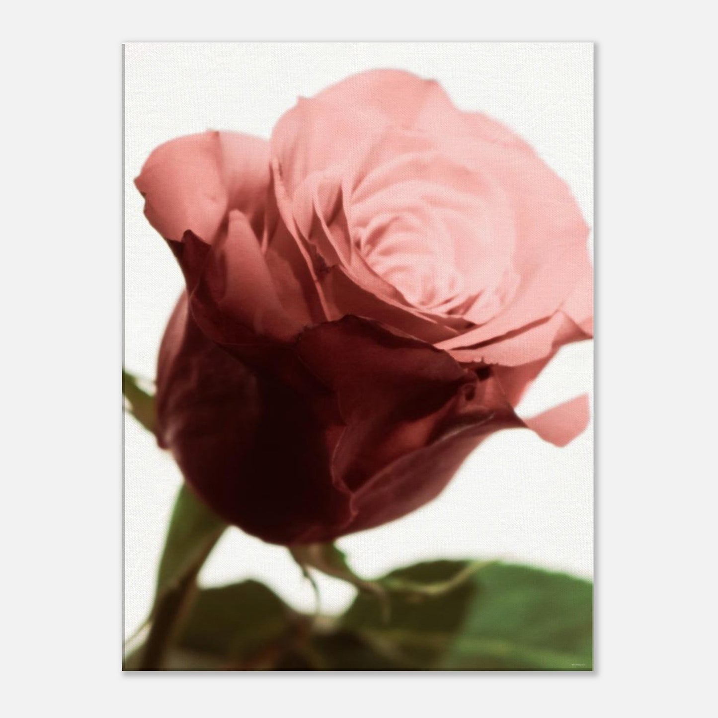 f59d33a7-e891-411e-9aca-d806a3258fce